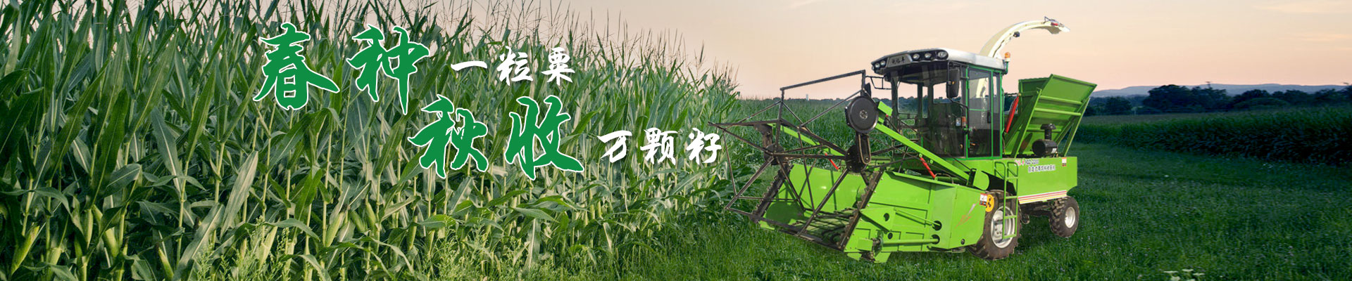 hth华体会最新网站