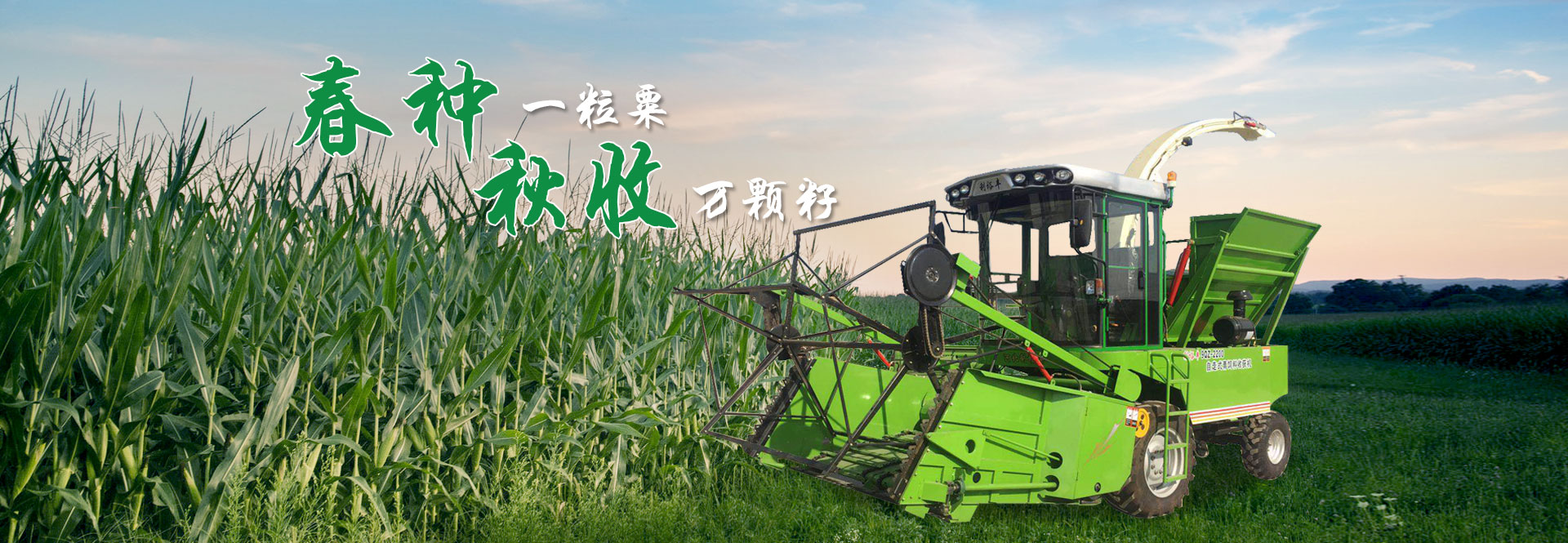 hth华体会最新网站